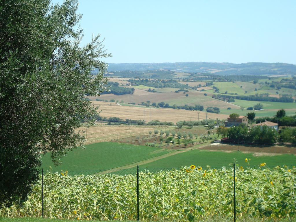 Podere Fontegallo Castiglione del Lago Exteriér fotografie