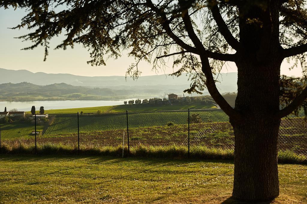 Podere Fontegallo Castiglione del Lago Exteriér fotografie