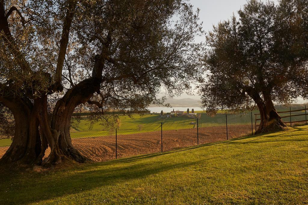 Podere Fontegallo Castiglione del Lago Exteriér fotografie