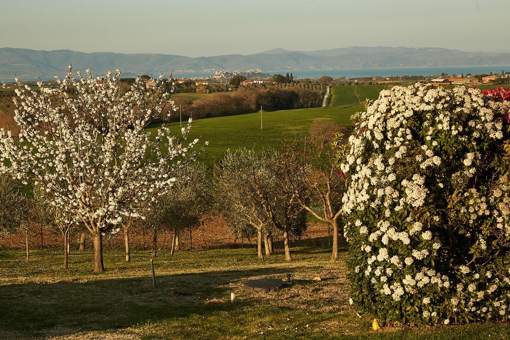Podere Fontegallo Castiglione del Lago Exteriér fotografie