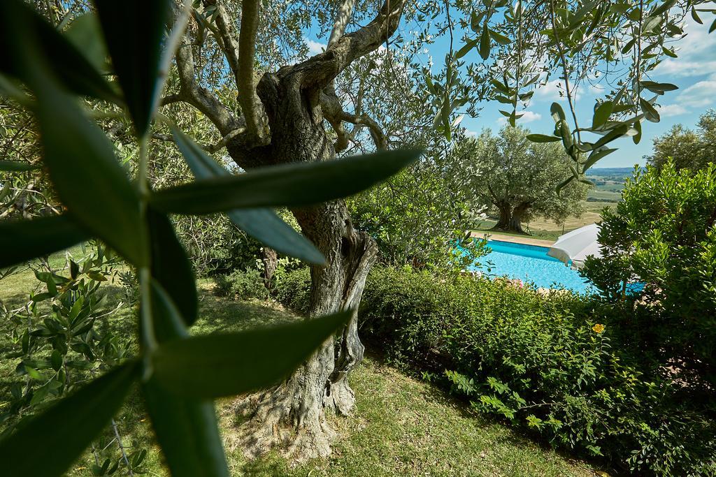 Podere Fontegallo Castiglione del Lago Exteriér fotografie